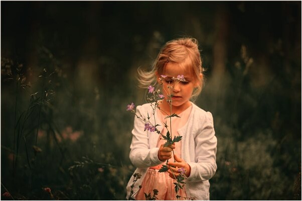 夢到了出殯有人送大米給我代表著什麼?_周公解夢官網