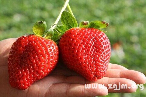 Dream of strawberry