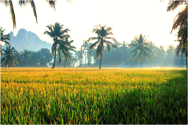 夢到點四支香有什麼意義嗎_周公解夢官網